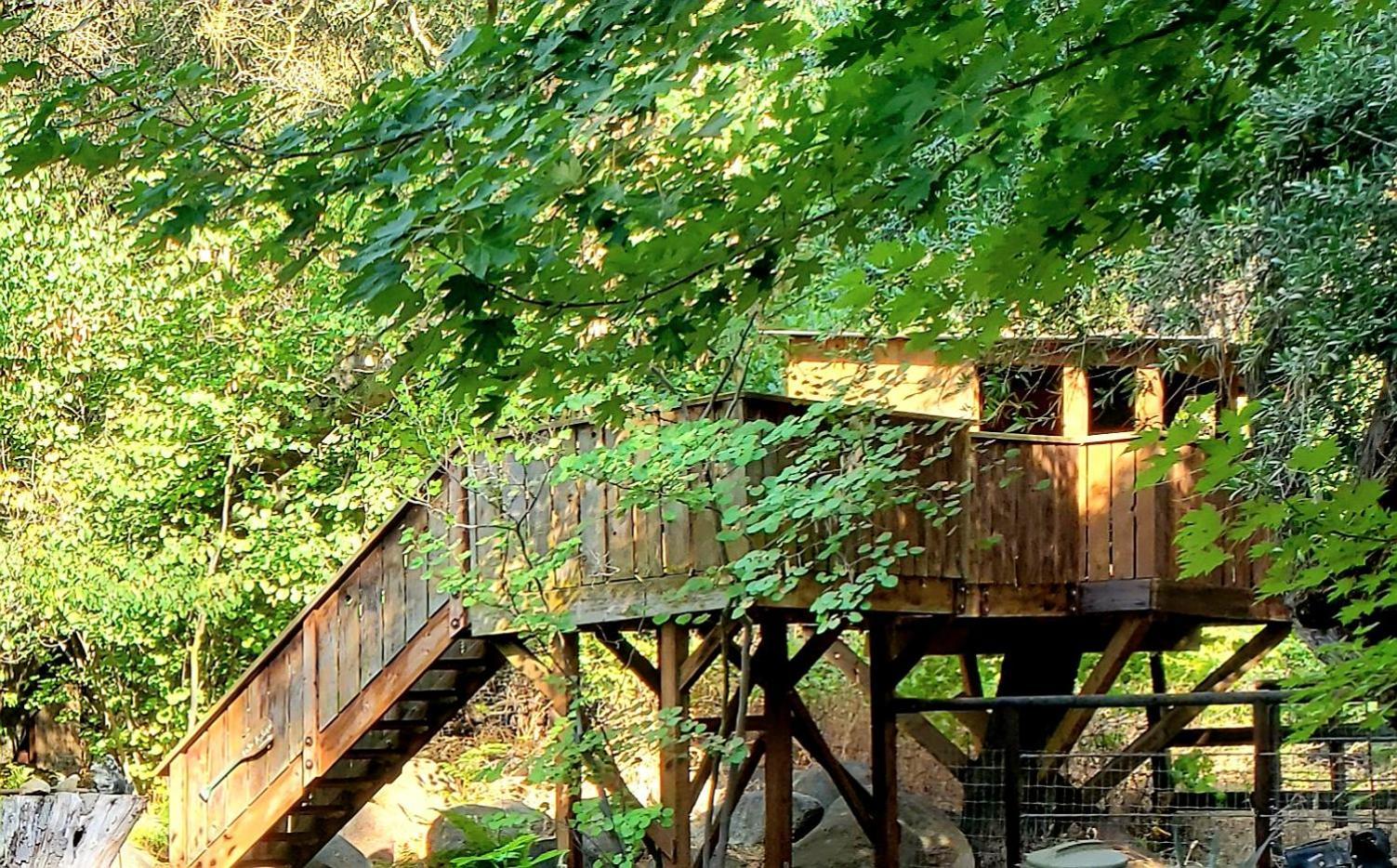 Magical River House ! 10 Min To Snp Park Entrance Three Rivers Eksteriør bilde